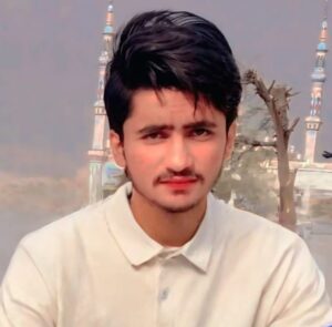 Author :Tabassum Ali