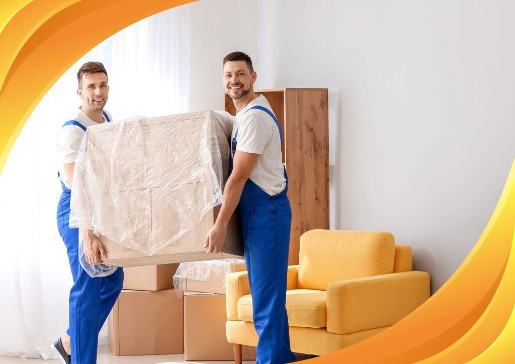 professional packers and movers