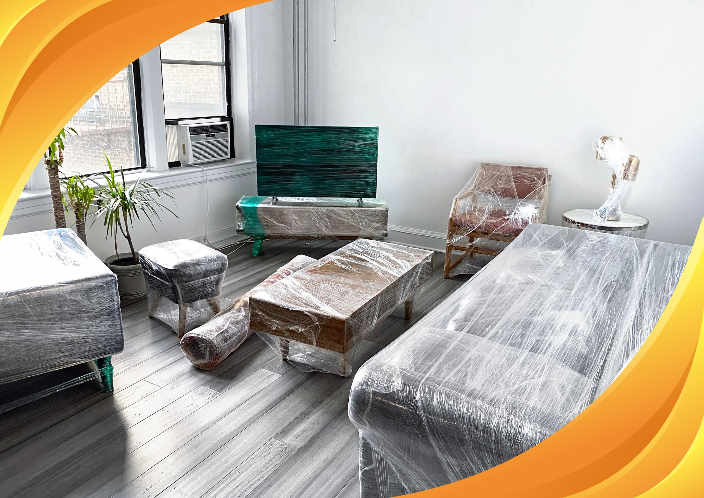best moving and packing