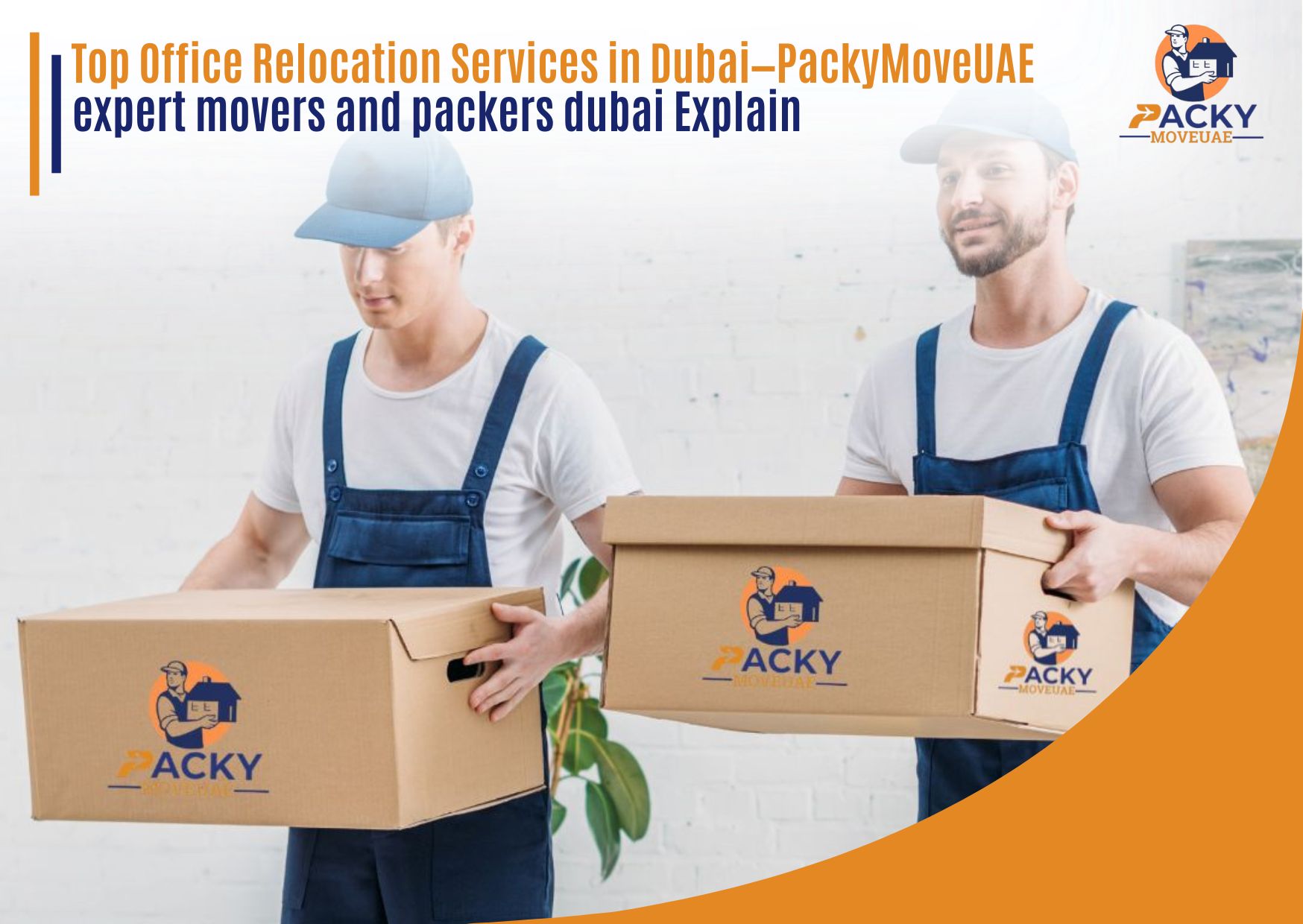 professional movers and packers in dubai